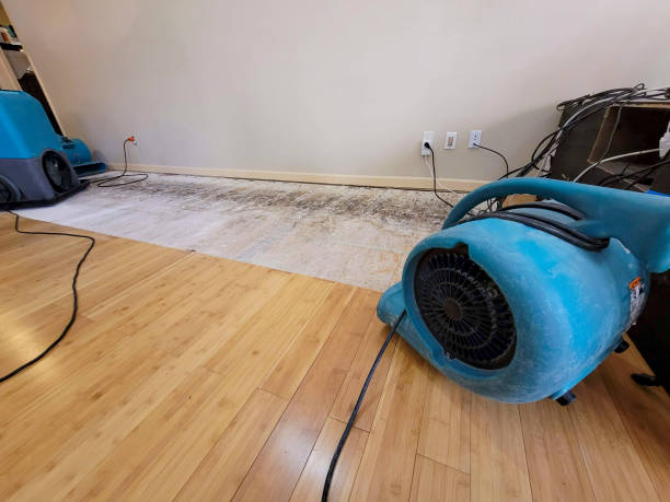 Professional Emergency Water Damage technician working in Glencoe, FL